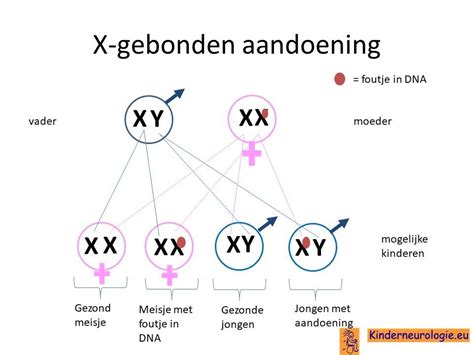 CMTX1 Kinderneurologie