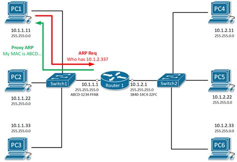 Arp Features