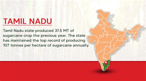 Sugarcane Production In India Largest Producing States