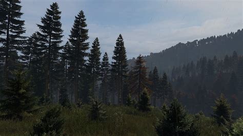 Dayz Forest Walkthrough Youtube