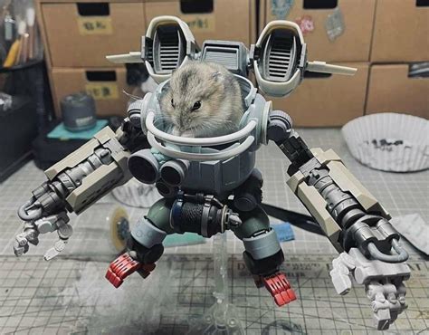 Hamster Mech Suit 50 Armor 100 Durability 20 Chance Of Geting A