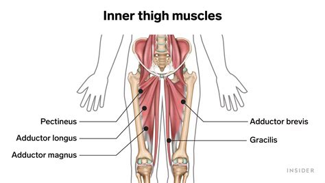 5 At Home Exercises For The Ultimate Inner Thigh Workout According To A Personal Trainer