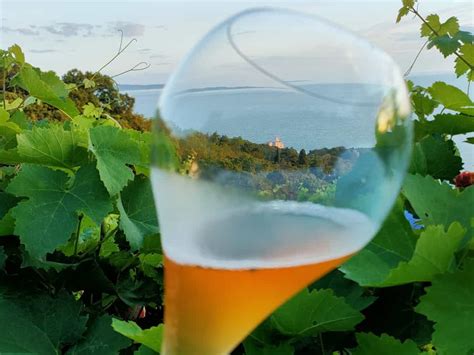 Oltre Il Mare Un Itinerario Nella Toscana Non Solo Del Vino In Onda Su