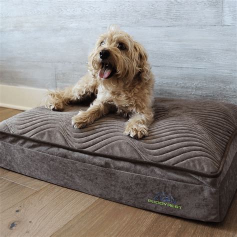 Orthopedic Dog Beds: BuddyRest World Class Dog Beds - buddyrest.com