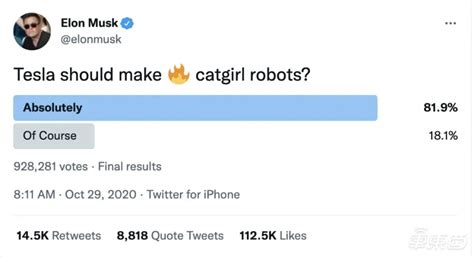 Elon Musk And His Idea Of Sex Robots With A Resemblance To Catgirl Infobae