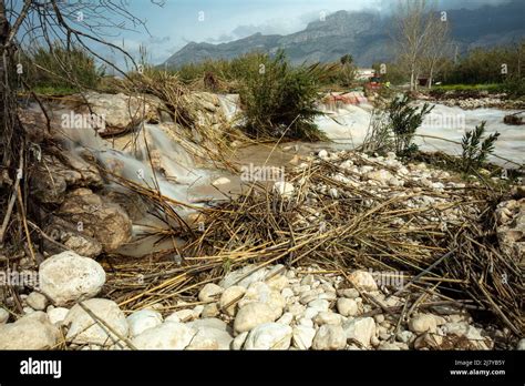 Inundación Del Paseo Del Río Algar En Altea Costa Brava Barro Y Phragmits Australis Caña