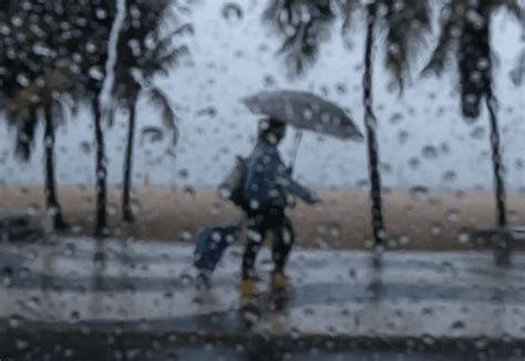 La tormenta tropical Francine podría alcanzar la costa de EEUU como