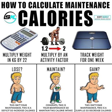 Estimate Maintenance Calories MorisiaAzwah