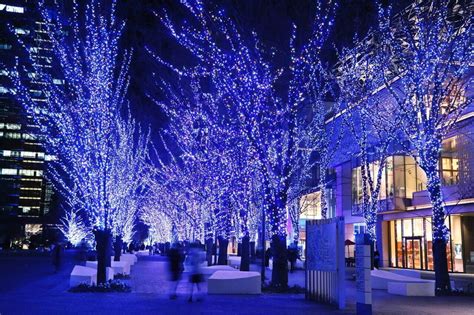 Best Winter Illuminations In Yokohama 2024 2025 Japan Web Magazine