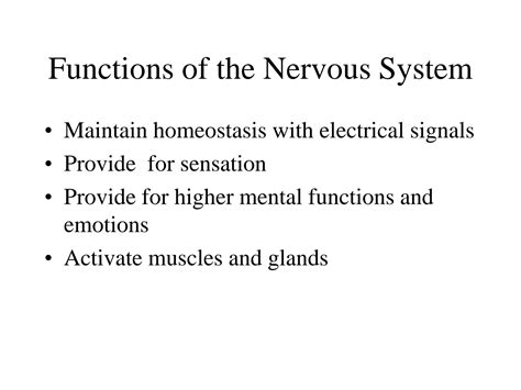 SOLUTION: Nervous system parts and functions - Studypool