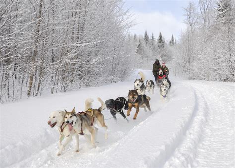 Tarifs pour le forfaits en traineaux à chiens dans les Laurentides