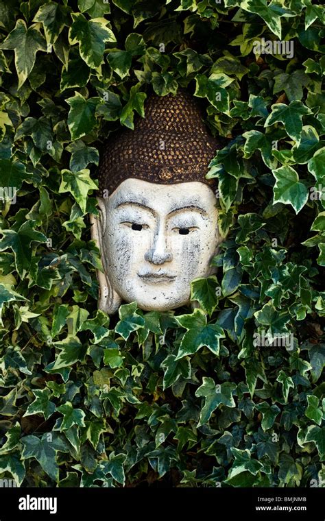 Statue Of Buddhas Head Hi Res Stock Photography And Images Alamy