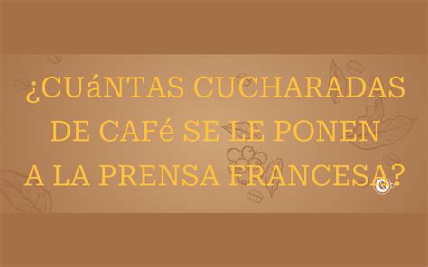 Cuántas cucharadas de café se le ponen a la prensa francesa Un cafe