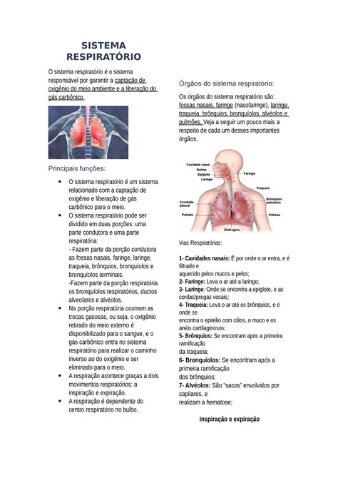 Resumo sistema respiratorio SISTEMA RESPIRATÓRIO O sistema