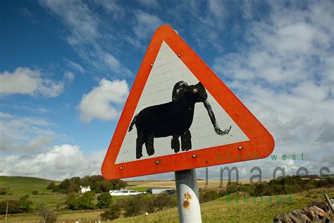 Unusual Traffic Sign Uk South West Images Scotland