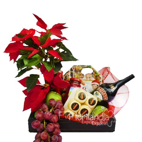 Ancheta Navideña con Ponsetias Navidad Florilandia Express Floristería