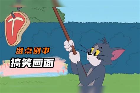 猫和老鼠：盘点剧中搞笑画面，汤姆挑逗大狗后被揍，画面太逗了 汤姆 画面 剧中