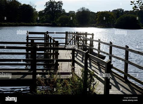 The lake at hatfield forest hi-res stock photography and images - Alamy