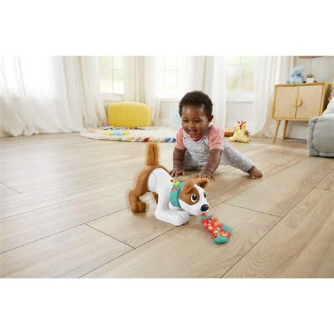 Comprar Fisher Price Perrito Gatea Y Juega Conmigo Toy Planet