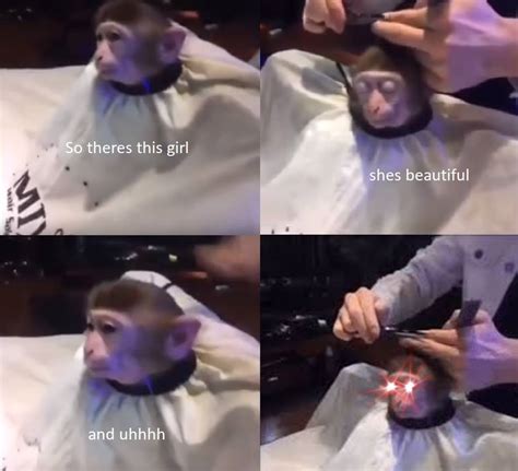 So theres this girl.. | Monkey Haircut | Know Your Meme