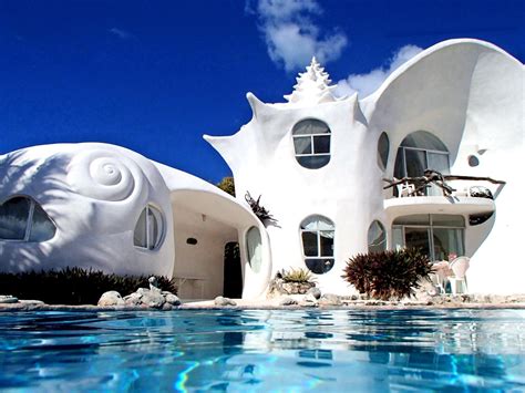 shell house casa caracol  lives   shell   sea