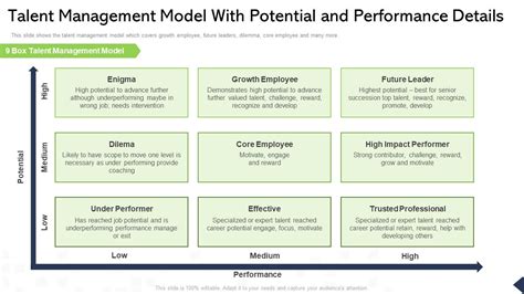 Talent Management Model With Potential And Performance Details Ppt Portfolio Introduction PDF