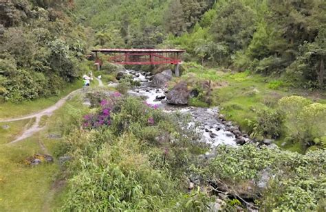 Centro Vacacional El Bosque Pensilvania Caldas Elturismoencolombia