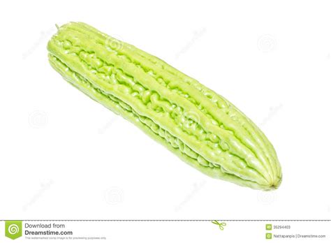 Bitter gourd clipart 20 free Cliparts | Download images on Clipground 2024