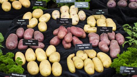 When To Use Certain Types Of Potatoes