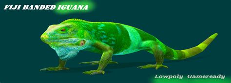 Fiji Banded Iguana Endangered Reptile - FlippedNormals