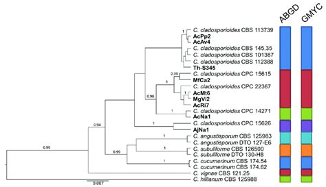 Ultrametric Tree Phylogeny Of Group A Showing Results Of Sequence Based