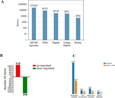 Quantitative Proteomic Analysis Results A Basic Information Regarding Download Scientific