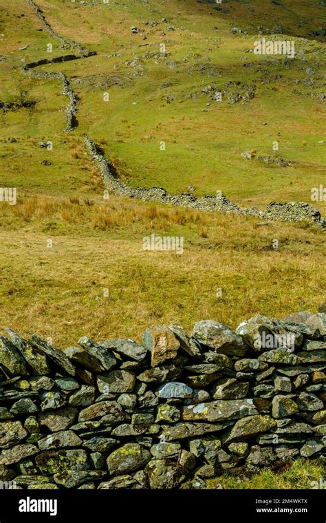 Extensive Old Dry Stone Walls Pattern The Hillsides Viewed Along The Whinlatter Pass Near