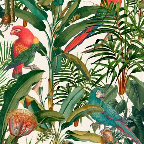 Caratteristiche Generali La Carta Da Parati Parrots Of Brasil Presenta