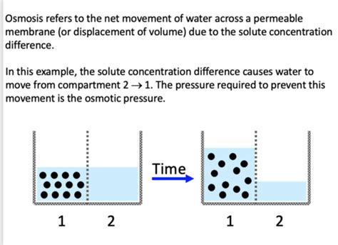 Module 1 Lecture 3 Osmosis Dr Fuller Includes Epithelia Vodcast