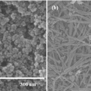 FE SEM Images Of TiO 2 Nanoparticles And TNT Films A TiO 2