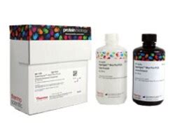 Western Blot Substrates And Substrate Kits Thermo Fisher Scientific