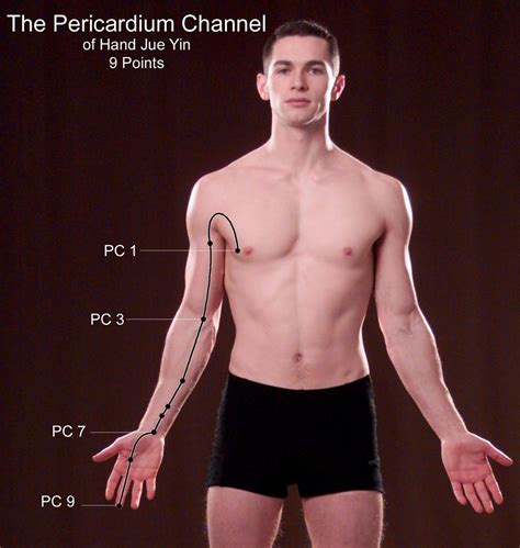 Magic Points Monday Pericardium 6 Open Channel Acupuncture And