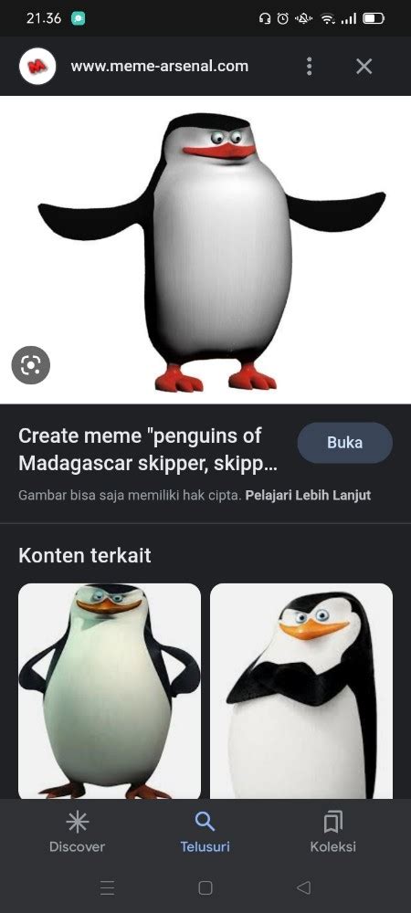 Create Meme Penguin Penguins Of Madagascar Skipper Rico The Penguin