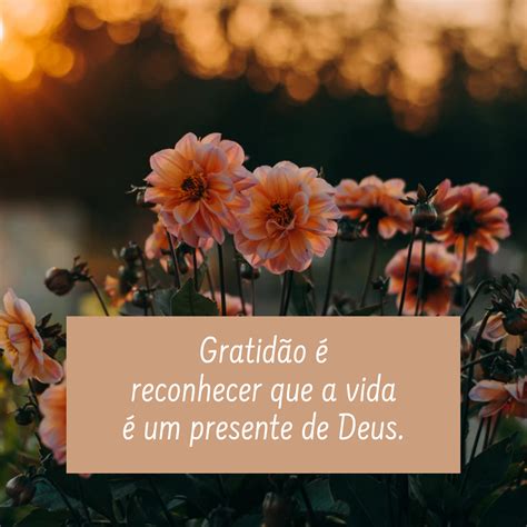 Mensagem De Gratidao A Vida