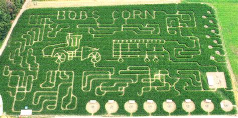 Corn Maze - Bob's Corn & Pumpkin Farm