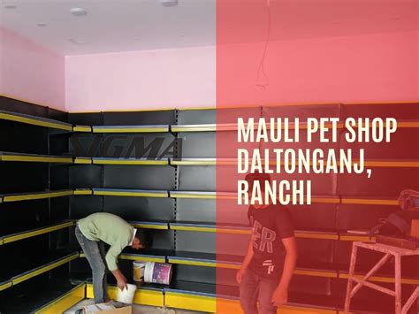 Display Rack For Pet Shop