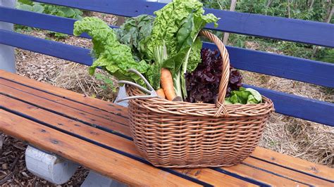 Dorfgarten für Alle GutKlima Gutes Klima im Dorf klare Zukunft im