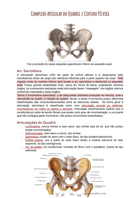 Anota Es Da Prova Cinesiologia E Biomecanica Complexo Articular