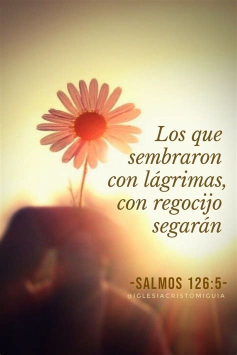 Los Que Sembraron Con L Grimas Con Regocijo Segar N Salmos