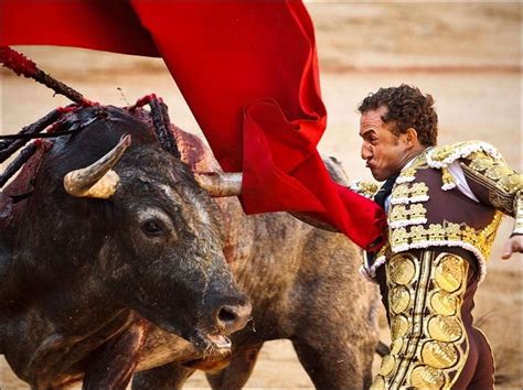 The Legacy Of Bullfighting In Spain