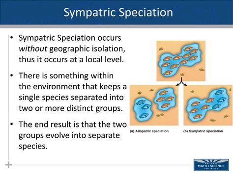 PPT - Macroevolution: Part III Sympatric Speciation PowerPoint ...