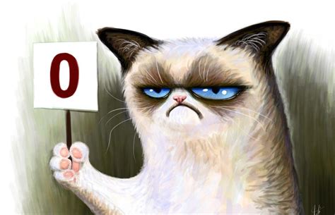 Grumpy Cat Wallpapers - Top Free Grumpy Cat Backgrounds - WallpaperAccess