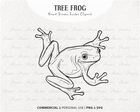 Tree Frog Svg Clipart Bundle Frog Vector Drawings Green Etsy