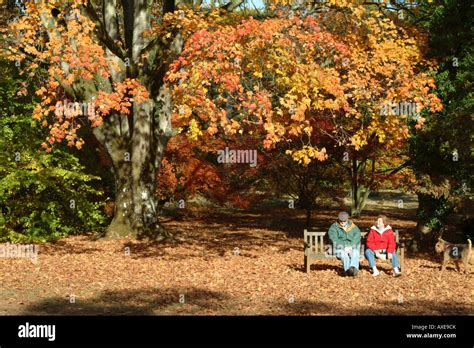 A Couple Enjoy A Seat In A Quiet Corner Of Westonbirt Arboretum In